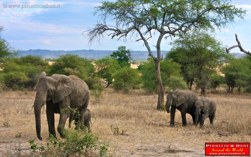 TANZANIA - Tarangire National Park - 28.jpg